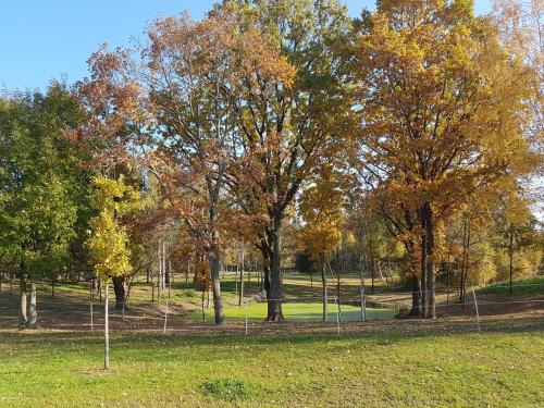 a group of trees in a park in the fall at Villa Cheval in Aukštadvaris
