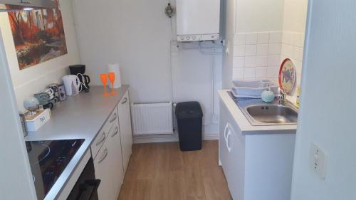 Una pequeña cocina con fregadero y encimera. en Studio rénové, en Cosne-Cours-sur-Loire