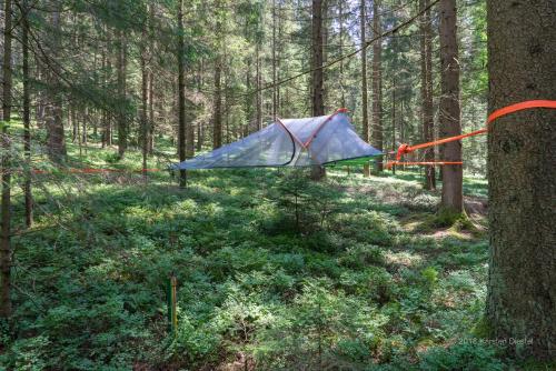 a blue tent sitting in the middle of a forest at Baumzelt am Waldesrand in Regen