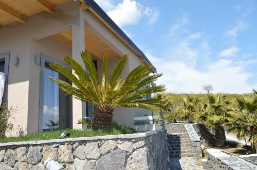 a house with a palm tree next to a stone wall at B&B Dimora dell' Etna in Milo