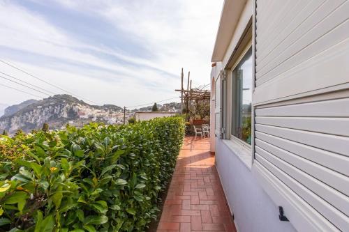 a house with a window and a brick walkway at La Gioiella Capri in Capri