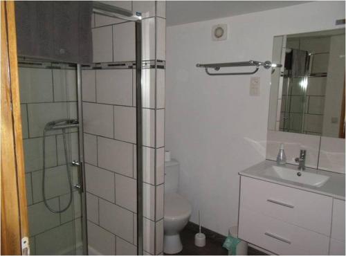 a bathroom with a shower and a toilet and a sink at Maison de vacances in Malbouzon