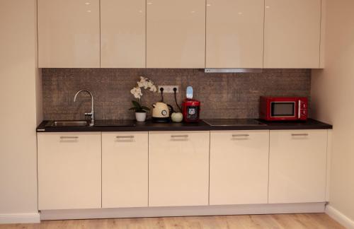 Η κουζίνα ή μικρή κουζίνα στο Reichel-Appartements