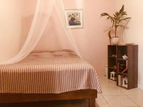 - une chambre avec un lit et une moustiquaire dans l'établissement Magical Garden, à Savaneta