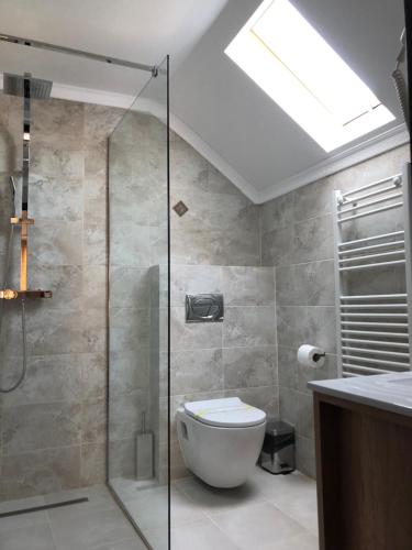 a bathroom with a toilet and a glass shower at Casa Codrin in Bran