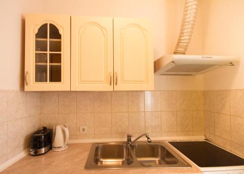 Una cocina o kitchenette en Apartman Punta Vilma