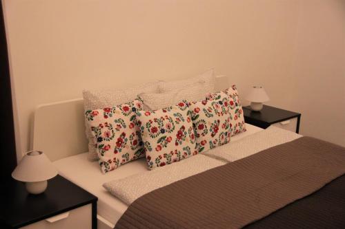 ブダペストにあるDuna Szecsi Apartmanのベッドルーム1室(枕2つ付)