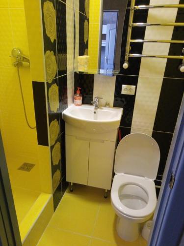 a bathroom with a toilet and a sink at Зарванская стрит 9 in Kamianets-Podilskyi