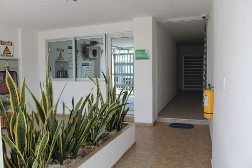 Gambar di galeri bagi D Río Apartamentos di Ríohacha