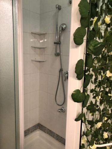 La salle de bains est pourvue d'une douche avec rideau de douche. dans l'établissement Ottaviano Lodge, à Rome