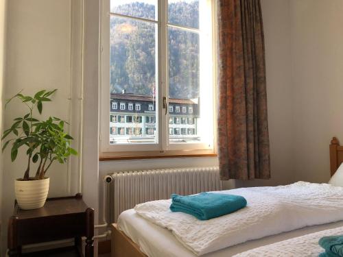 Interlaken Marco Hostel