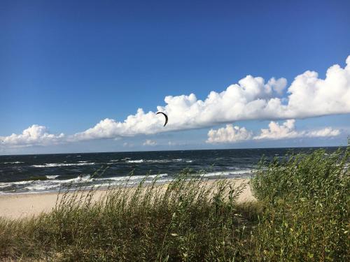 a kite flying over the ocean on a beach at Blue Sea Apartment in Międzyzdroje