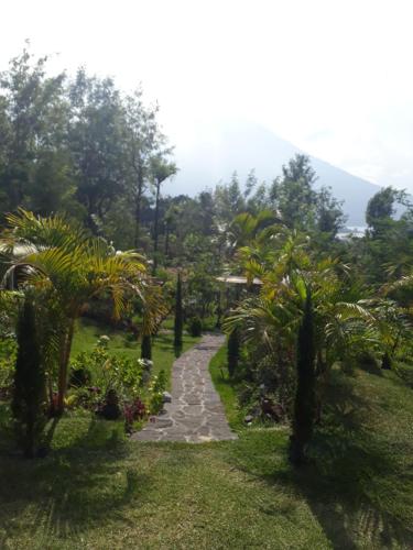 Κήπος έξω από το Hotel y Bungalows ecologicos Marcelo