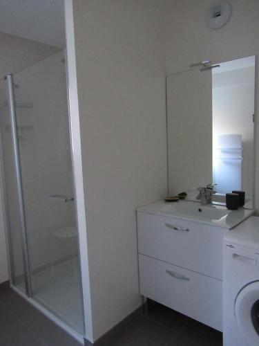 une salle de bain avec une douche, un lavabo et un miroir dans l'établissement LA MONTILLE, à Le Mont-Dore