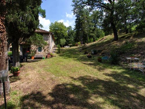 Κήπος έξω από το Alloggio Villa Manini