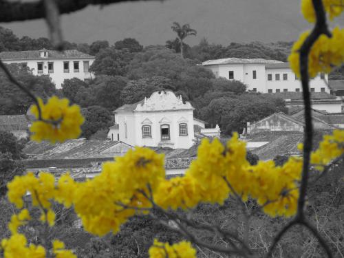 a black and white photo of a building with yellow flowers at Pousada Serra Dourada in Goiás