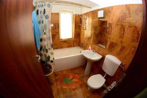 a bathroom with a sink and a toilet and a shower at David Aprilia in Mamaia Sat/Năvodari