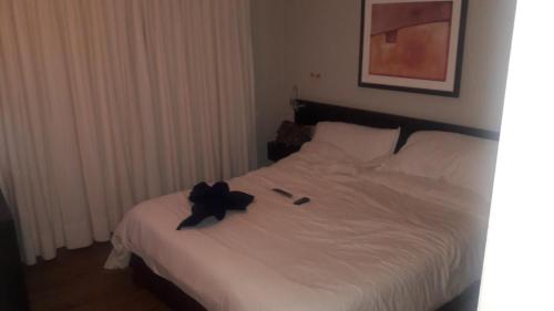 Alojamiento temporario solis 1235