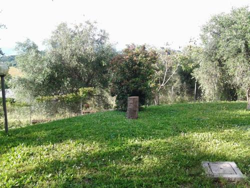 a field of green grass with a stump in the middle at Agriturismo Norianino in Montemerano