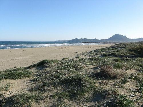 a sandy beach with some grass and the ocean at Mirto E Mare in Muravera