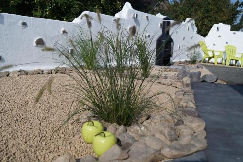 a garden with apples and a bottle of wine at Ferienhaus am Apfelbaum in Andernach