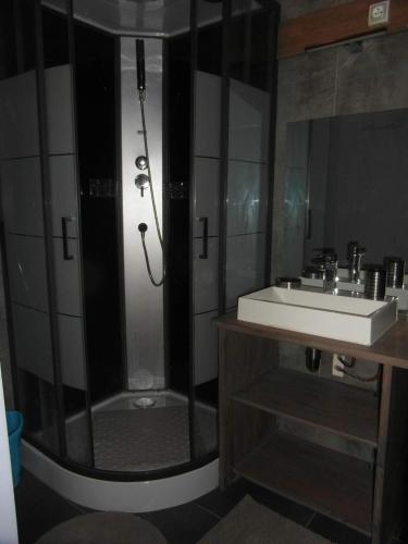 une salle de bain avec douche et lavabo dans l'établissement Gîtes du Bois de Bontemps, à Sarlat-la-Canéda