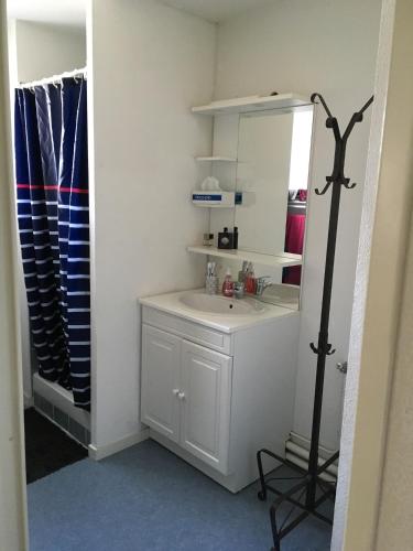 une salle de bain avec un lavabo blanc et un miroir dans l'établissement T1 bis Auray, à Auray