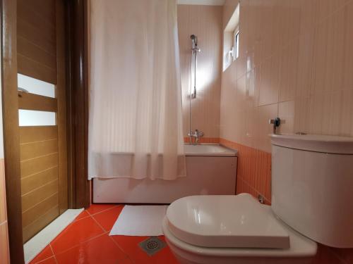 uma casa de banho com um WC branco e um chuveiro em Apart Hotel Apple Cat Montenegro KO Bijela em Bijela