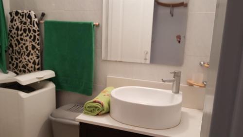 a bathroom with a sink and a green shower curtain at vistas al mar in Torre del Mar