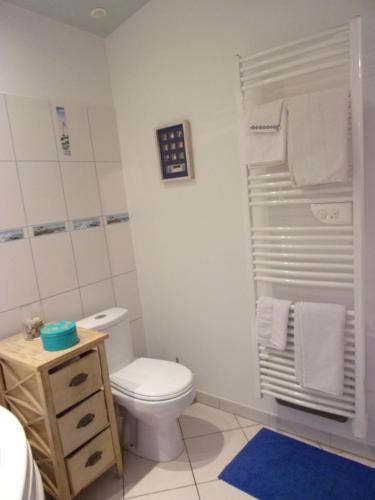 a bathroom with a white toilet and a sink at LES ROCHES DE COIGNE in Sainte-Anne-sur-Vilaine