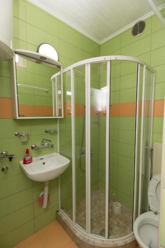 a green bathroom with a shower and a sink at Apartment Jasna in Mostar