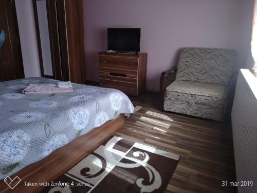 a bedroom with a bed and a dresser and a chair at Casa Suzy & Roxy in Arpaşu de Jos