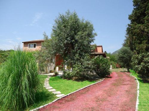 uma casa com uma árvore e uma estrada de terra em Errika em Ýpsos