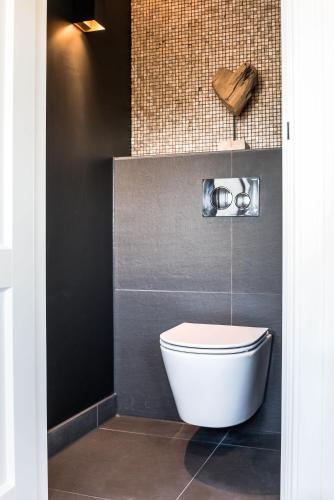 a bathroom with a white toilet in a room at de Vogelensangh in Vogelenzang