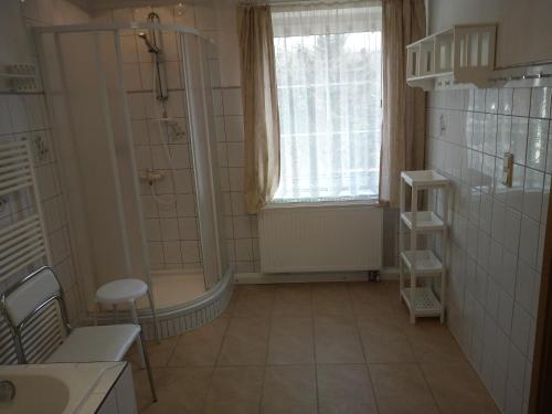 a bathroom with a shower and a sink at Apartments mit 2 Schlafzimmern in Dresden