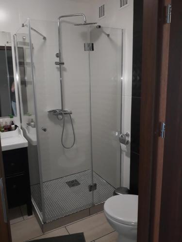 uma casa de banho com um chuveiro, um WC e um lavatório. em Apartament Czwarte Piętro em Swiecie