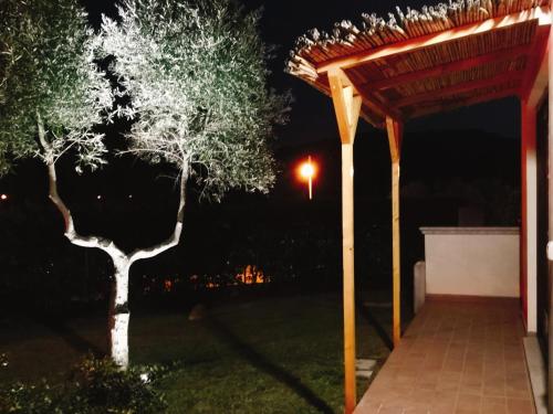 a pergola and a tree in a yard at night at A Lu Ponti in Budoni