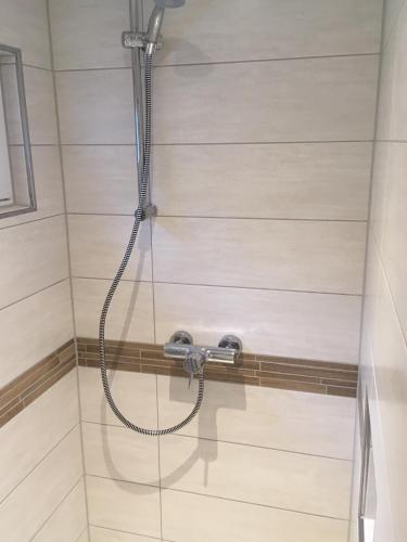 a shower with a shower head in a bathroom at Am Sonnenhang in Hilzingen