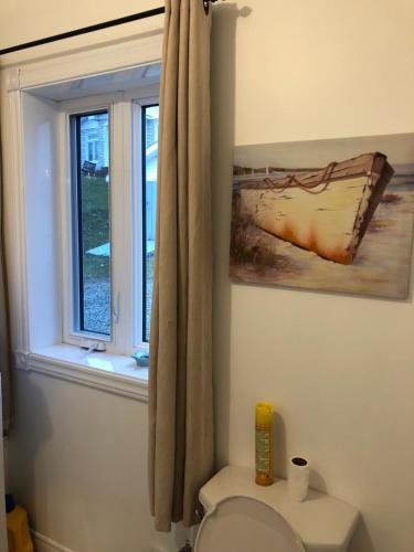 a bathroom with a toilet and a window at La petite maison sur la côte in Sainte-Anne-des-Monts