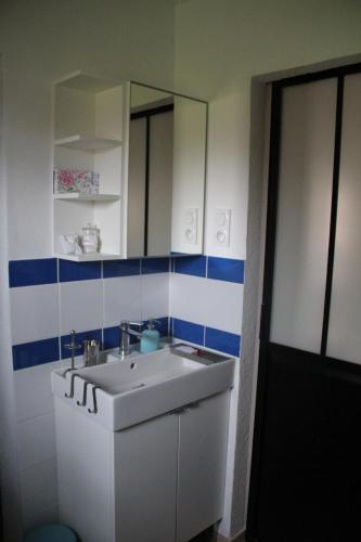 une salle de bain avec un lavabo blanc et un miroir dans l'établissement La Mésange bleue, à Saint-Barthélemy