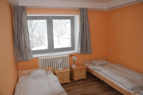 a bedroom with two twin beds and a window at Apartmány Kvasejovice in Sušetice