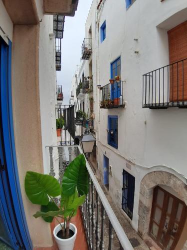 Ananda Beach Rooms - Castillo de Peñiscola