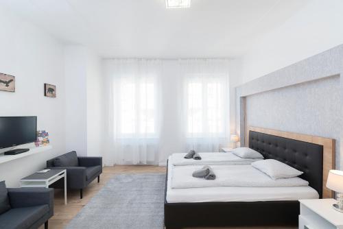 ブダペストにあるAstoria Flats 1のベッドルーム(大型ベッド1台、テレビ付)