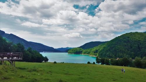 a view of a lake in a grassy field at Casa Parvu in Lunca Mare