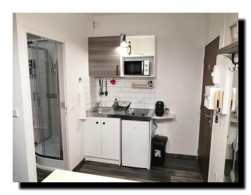 une petite cuisine avec un évier et un micro-ondes dans l'établissement BnBesak Besancon Micropolis, à Besançon