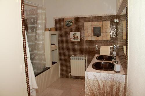 une petite salle de bain avec un lavabo et une douche dans l'établissement Chambres d'hôtes vue panoramique proche de Carcassonne, à Villardonnel