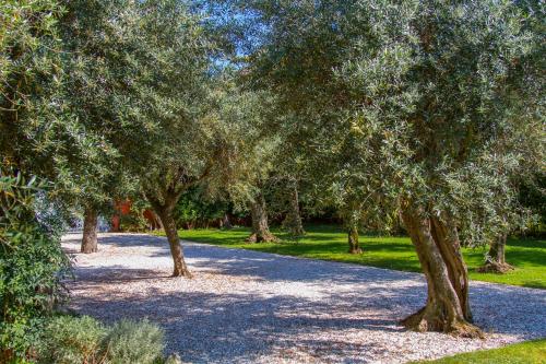 Κήπος έξω από το Case Rosse Suite