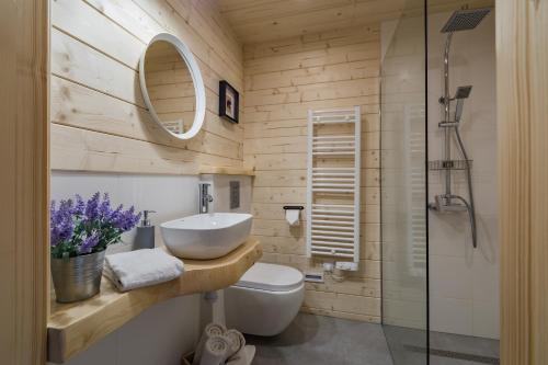 ein Bad mit einem Waschbecken, einem WC und einer Dusche in der Unterkunft Osada Dzianisz N°54 in Dzianisz