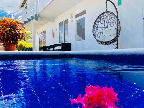 a swimming pool in front of a house at Posada Lkjay Providencia Isla in Providencia