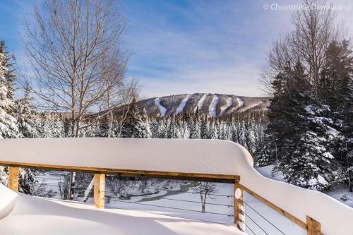 Le Vanilee - Les Chalets Spa Canada – Photos 2